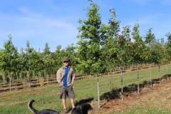Oak Northern Red