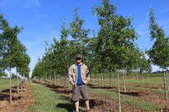 Oak Pin 2.0 in